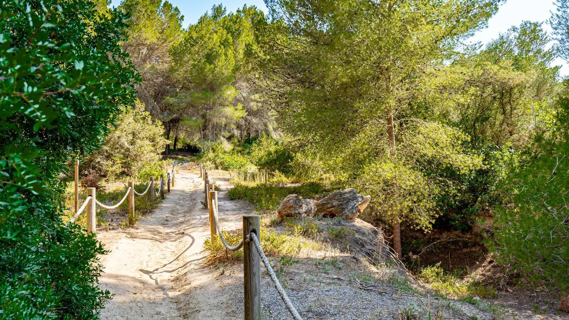 ****  Hotel Rosella Affiliated By Intelier Sa Coma  Spain